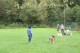 Thumbs/tn_Bild 012.jpg